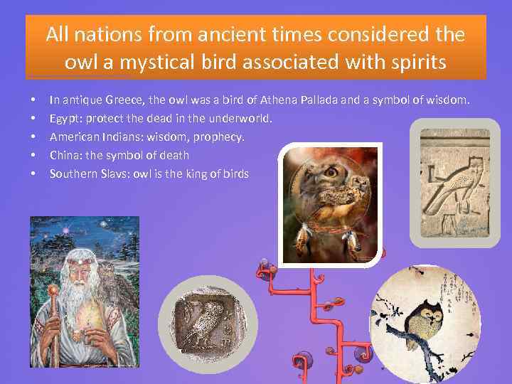 All nations from ancient times considered the owl a mystical bird associated with spirits