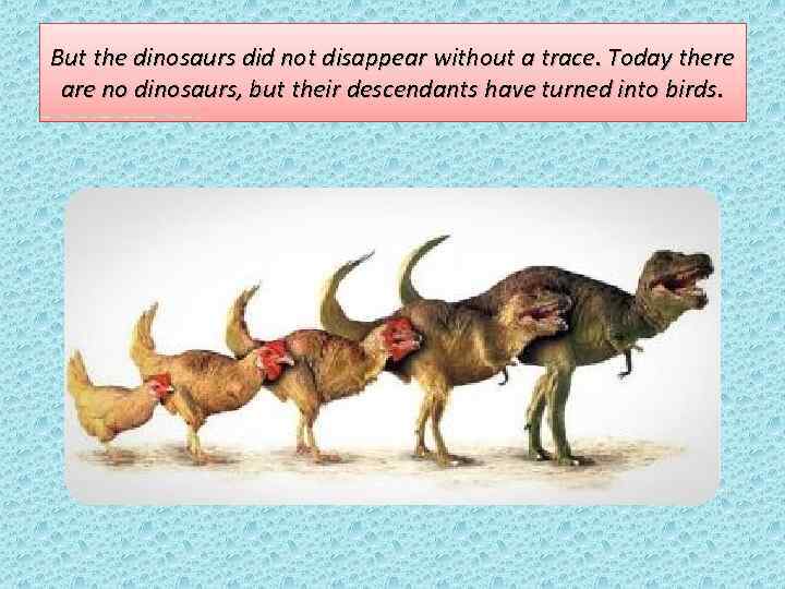 But the dinosaurs did not disappear without a trace. Today there are no dinosaurs,