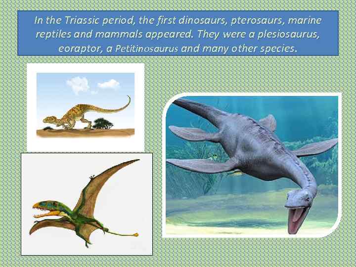 In the Triassic period, the first dinosaurs, pterosaurs, marine reptiles and mammals appeared. They