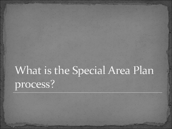 What is the Special Area Plan process? 