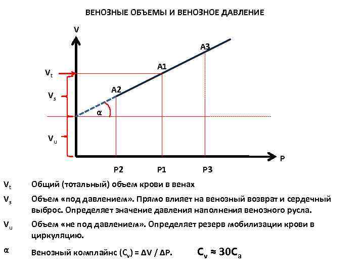 ВЕНОЗНЫЕ ОБЪЕМЫ И ВЕНОЗНОЕ ДАВЛЕНИЕ V A 3 A 1 Vt A 2 Vs