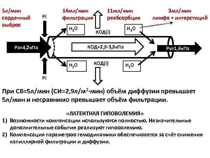 5 л/мин сердечный выброс Pi 14 мл/мин фильтрация H 2 O 11 мл/мин реабсорбция