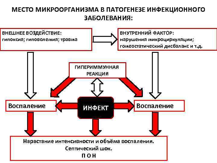 МЕСТО МИКРООРГАНИЗМА В ПАТОГЕНЕЗЕ ИНФЕКЦИОННОГО ЗАБОЛЕВАНИЯ: ВНЕШНЕЕ ВОЗДЕЙСТВИЕ: гипоксия; гиповолемия; травма ВНУТРЕННИЙ ФАКТОР: нарушения