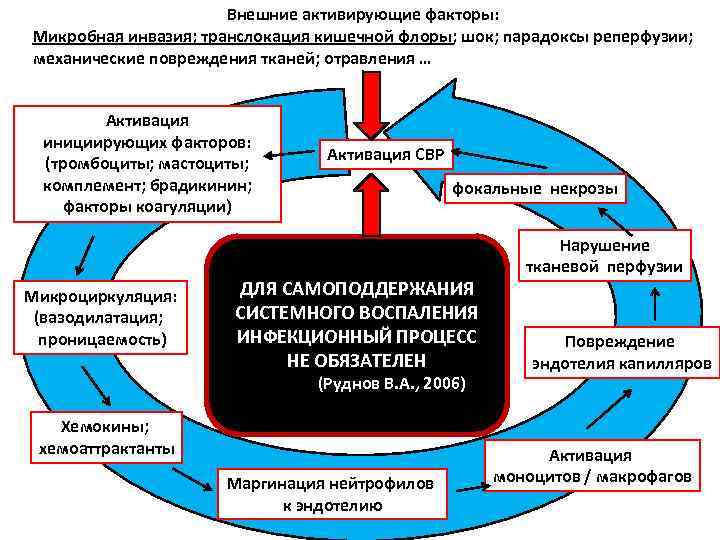 Внешние активирующие факторы: Микробная инвазия; транслокация кишечной флоры; шок; парадоксы реперфузии; механические повреждения тканей;