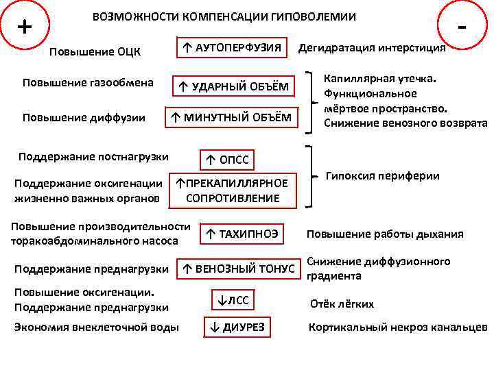 + ВОЗМОЖНОСТИ КОМПЕНСАЦИИ ГИПОВОЛЕМИИ ↑ АУТОПЕРФУЗИЯ Повышение ОЦК Повышение газообмена Повышение диффузии ↑ УДАРНЫЙ