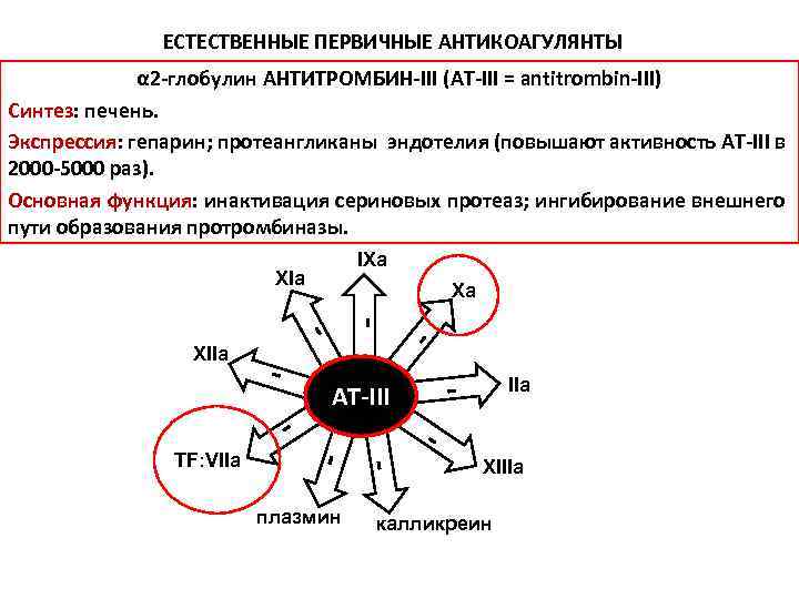 ЕСТЕСТВЕННЫЕ ПЕРВИЧНЫЕ АНТИКОАГУЛЯНТЫ α 2 -глобулин АНТИТРОМБИН-III (AT-III = antitrombin-III) Синтез: печень. Экспрессия: гепарин;