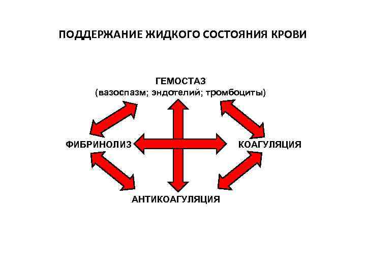 ПОДДЕРЖАНИЕ ЖИДКОГО СОСТОЯНИЯ КРОВИ ГЕМОСТАЗ (вазоспазм; эндотелий; тромбоциты) ФИБРИНОЛИЗ КОАГУЛЯЦИЯ АНТИКОАГУЛЯЦИЯ 