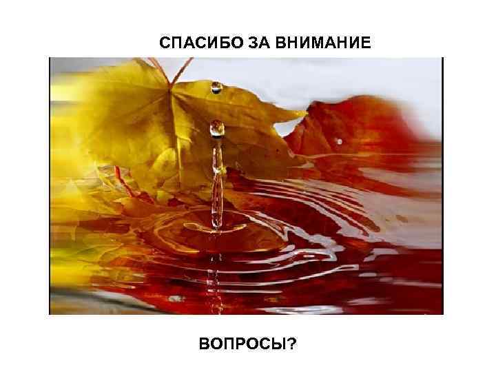 СПАСИБО ЗА ВНИМАНИЕ ВОПРОСЫ? 