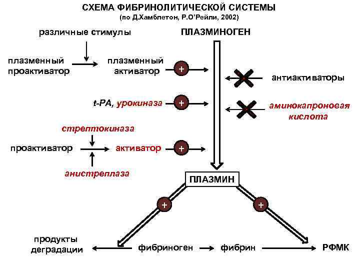 Схема фибринолиза физиология