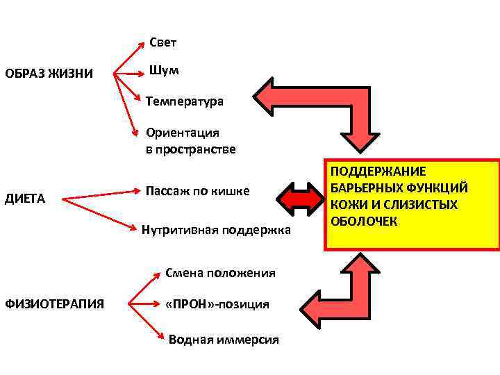 Свет ОБРАЗ ЖИЗНИ Шум Температура Ориентация в пространстве ДИЕТА Пассаж по кишке Нутритивная поддержка