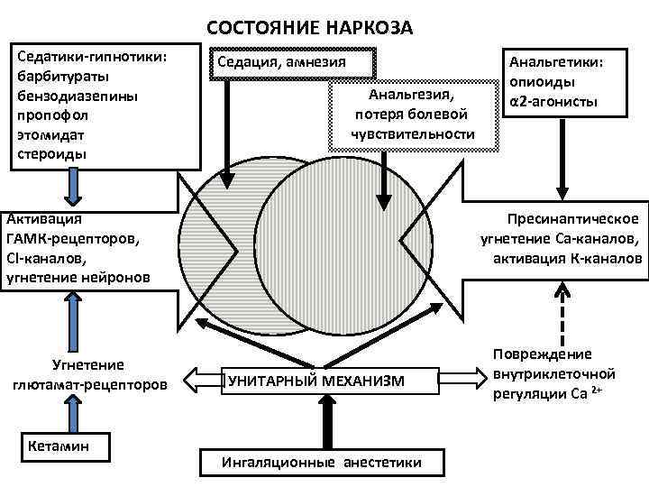 СОСТОЯНИЕ НАРКОЗА Седатики-гипнотики: барбитураты бензодиазепины пропофол этомидат стероиды Седация, амнезия Анальгезия, потеря болевой чувствительности