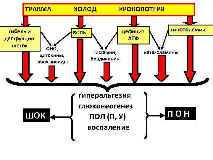 ТРАВМА гибель и деструкция клеток ХОЛОД КРОВОПОТЕРЯ дефицит АТФ БОЛЬ ФНО, цитокины, эйкосаноиды ШОК