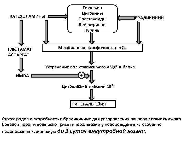 Гистамин Цитокины Простаноиды Лейкотриены Пурины КАТЕХОЛАМИНЫ ГЛЮТАМАТ АСПАРТАТ БРАДИКИНИН Мембранная фосфолипаза «С» Устранение вольтзависимого