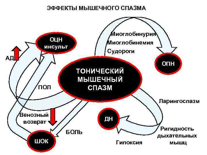 ЭФФЕКТЫ МЫШЕЧНОГО СПАЗМА Миоглобинурия ОЦН инсульт Миоглобинемия Судороги АД ОПН ПОЛ ТОНИЧЕСКИЙ МЫШЕЧНЫЙ СПАЗМ