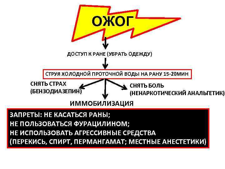 Патогенез ожоговой болезни схема