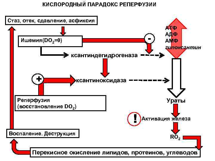 Активация желез