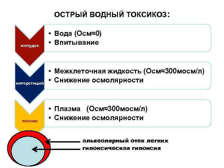 ОСТРЫЙ ВОДНЫЙ ТОКСИКОЗ: желудок интерстиций плазма • Вода (Осм≈0) • Впитывание • Межклеточная жидкость