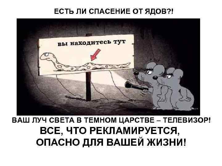 ЕСТЬ ЛИ СПАСЕНИЕ ОТ ЯДОВ? ! ВАШ ЛУЧ СВЕТА В ТЕМНОМ ЦАРСТВЕ – ТЕЛЕВИЗОР!