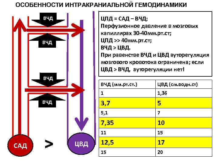 ОСОБЕННОСТИ ИНТРАКРАНИАЛЬНОЙ ГЕМОДИНАМИКИ ЦПД = САД – ВЧД; Перфузионное давление в мозговых капиллярах 30