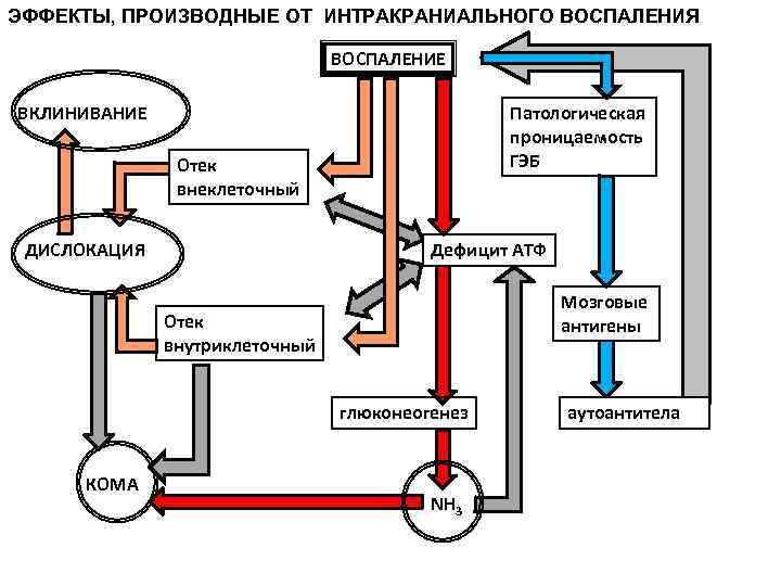 ЭФФЕКТЫ, ПРОИЗВОДНЫЕ ОТ ИНТРАКРАНИАЛЬНОГО ВОСПАЛЕНИЯ ВОСПАЛЕНИЕ ВКЛИНИВАНИЕ Патологическая проницаемость ГЭБ Отек внеклеточный ДИСЛОКАЦИЯ Дефицит