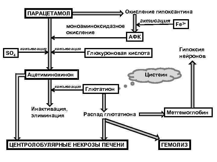 Окисление гипоксантина ПАРАЦЕТАМОЛ моноаминоксидазное окисление SO 4 конъюгация активация АФК Инактивация, элиминация Гипоксия нейронов