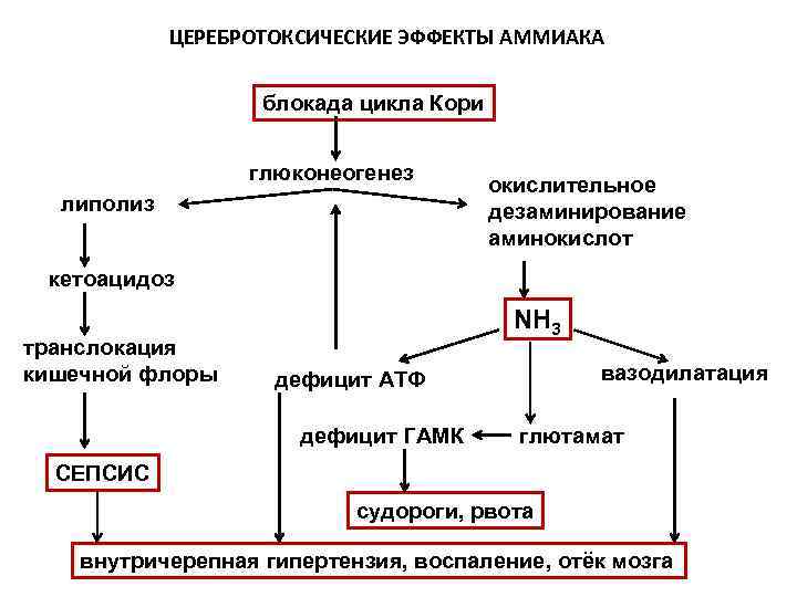 Патогенез кори схема