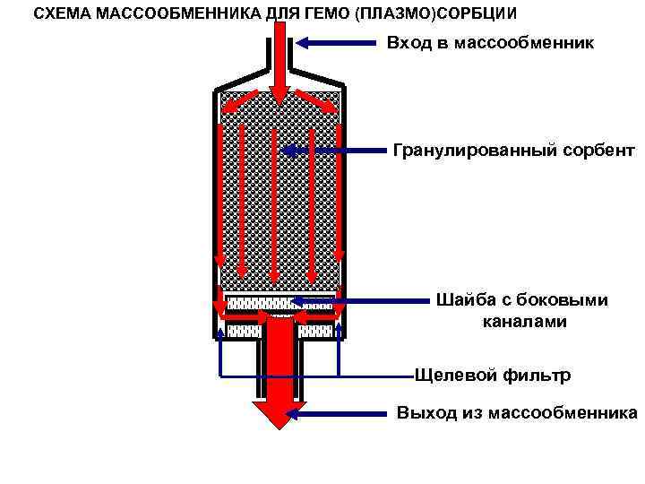 СХЕМА МАССООБМЕННИКА ДЛЯ ГЕМО (ПЛАЗМО)СОРБЦИИ Вход в массообменник Гранулированный сорбент Шайба с боковыми каналами