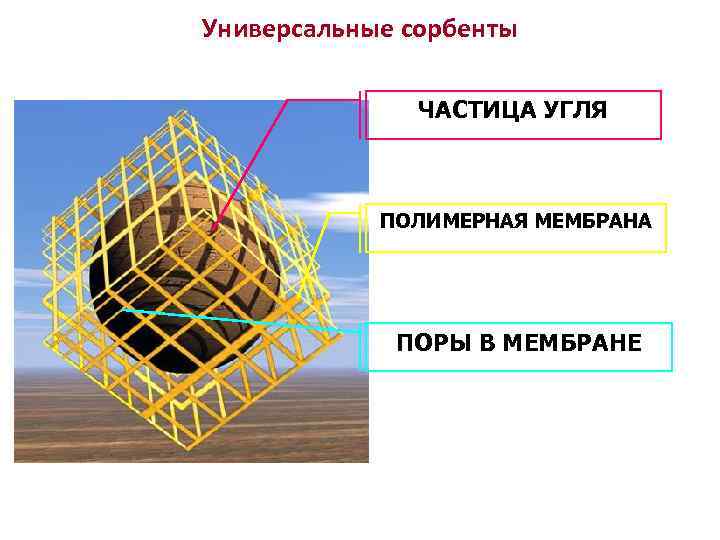 Универсальные сорбенты ЧАСТИЦА УГЛЯ ПОЛИМЕРНАЯ МЕМБРАНА ПОРЫ В МЕМБРАНЕ 