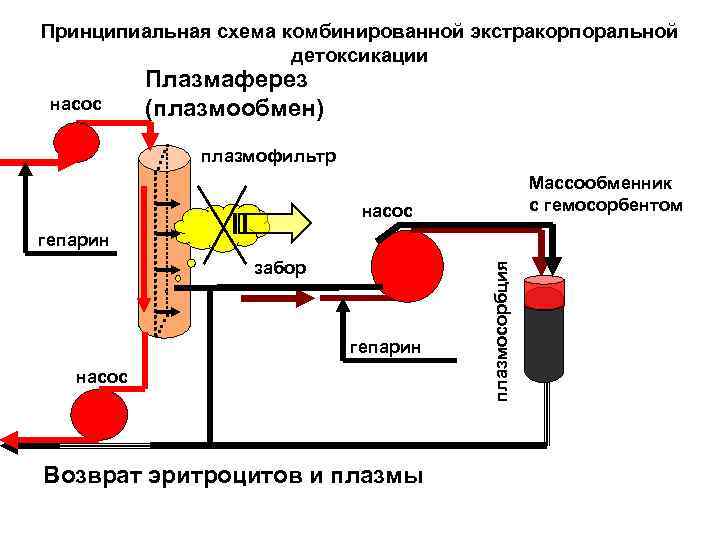 Принципиальная схема комбинированной экстракорпоральной детоксикации насос Плазмаферез (плазмообмен) плазмофильтр Массообменник с гемосорбентом насос забор