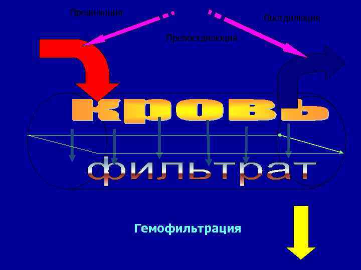 Предилюция Постдилюция Препостдилюция Гемофильтрация 