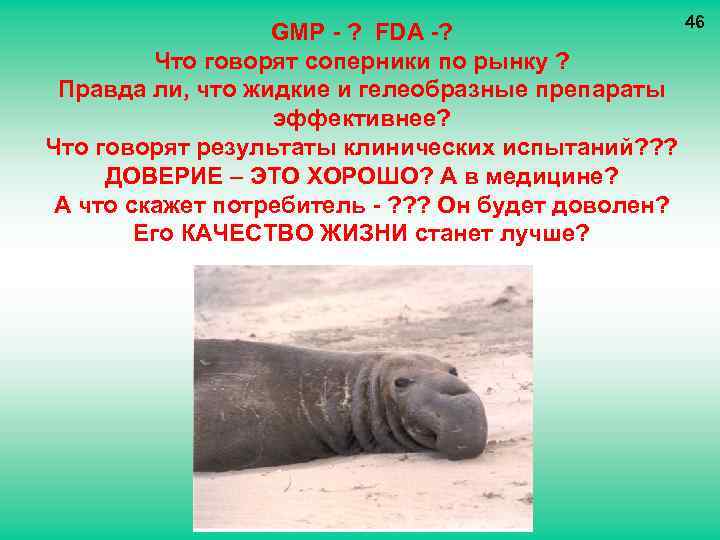 46 GMP - ? FDA -? Что говорят соперники по рынку ? Правда ли,