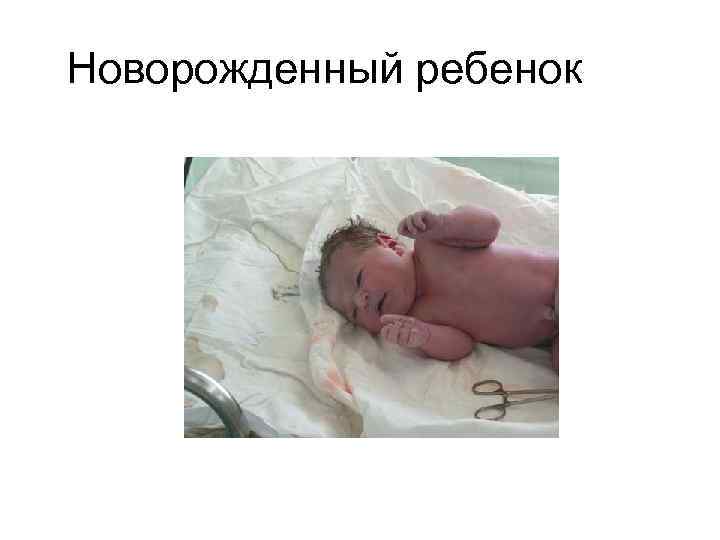 Новорожденный ребенок 