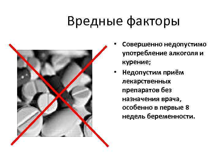 Вредные факторы • Совершенно недопустимо употребление алкоголя и курение; • Недопустим приём лекарственных препаратов