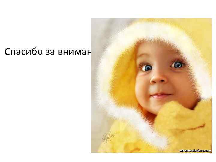 Спасибо за внимание!!! 