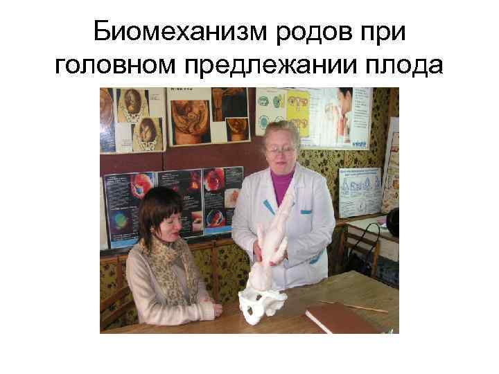 Биомеханизм родов при головном предлежании плода 