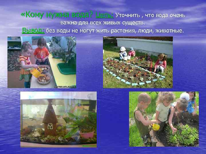  «Кому нужна вода? Цель: Уточнить , что вода очень важна для всех живых