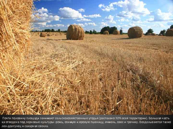 Почти половину площади занимают сельскохозяйственные угодья (распахано 30% всей территории). Большая часть их отведена