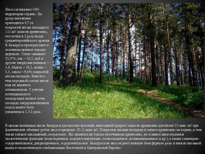 Леса составляют 36% территории страны. На душу населения приходится 0, 7 га покрытой лесом