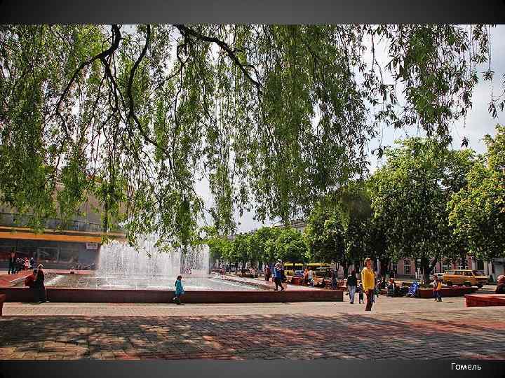  • Гомель 
