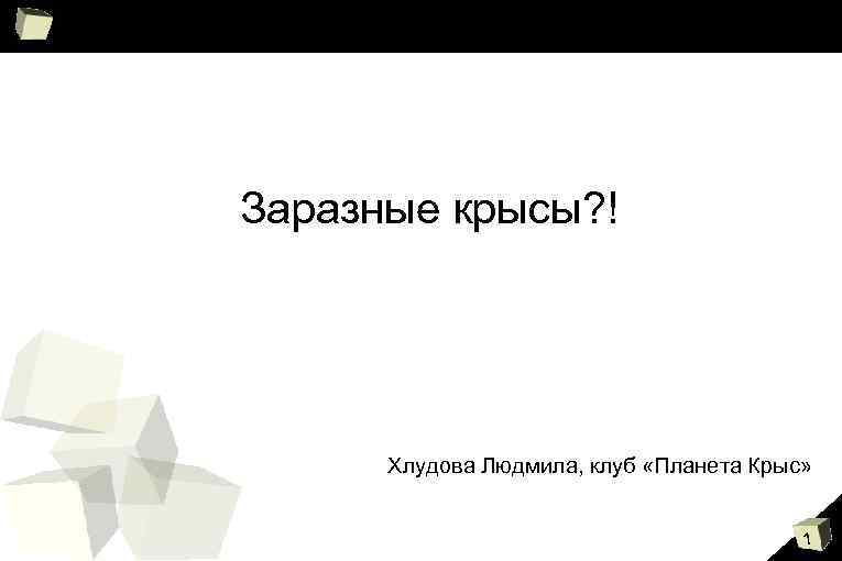 Заразные крысы? ! Хлудова Людмила, клуб «Планета Крыс» 1 