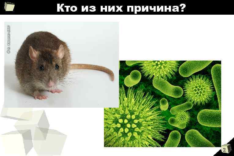Кто из них причина? 2 
