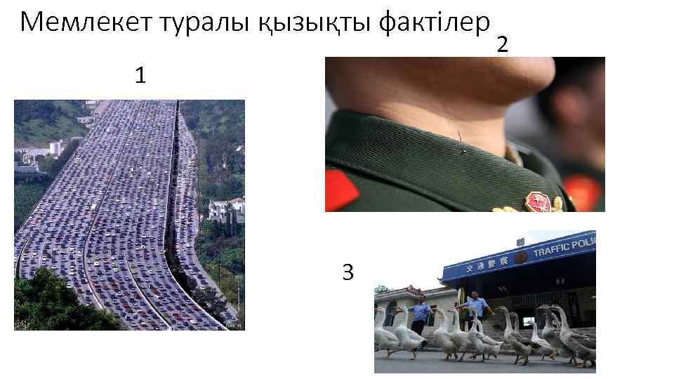 Мемлекет туралы қызықты фактілер 1 3 2 