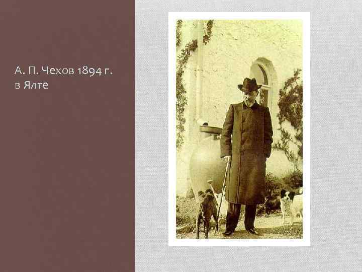 А. П. Чехов 1894 г. в Ялте 