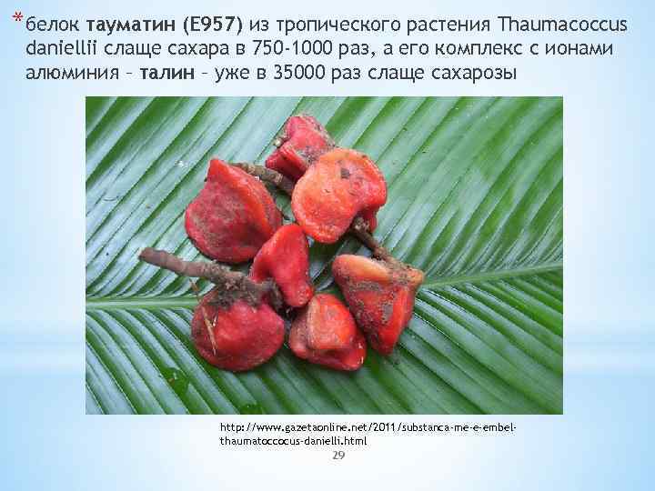 *белок тауматин (E 957) из тропического растения Thaumacoccus daniellii слаще сахара в 750 -1000