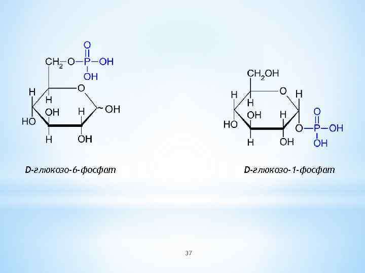 D-глюкозо-6 -фосфат D-глюкозо-1 -фосфат 37 
