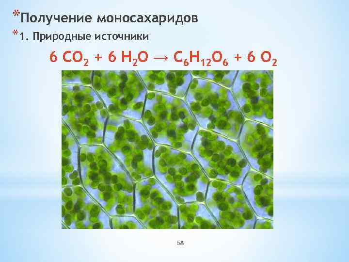 *Получение моносахаридов *1. Природные источники 6 CO 2 + 6 H 2 O →