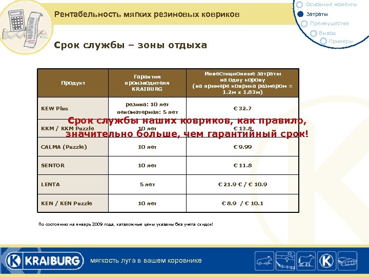 Основные моменты Рентабельность мягких резиновых ковриков Затраты Преимущества Вывод Примеры Срок службы – зоны