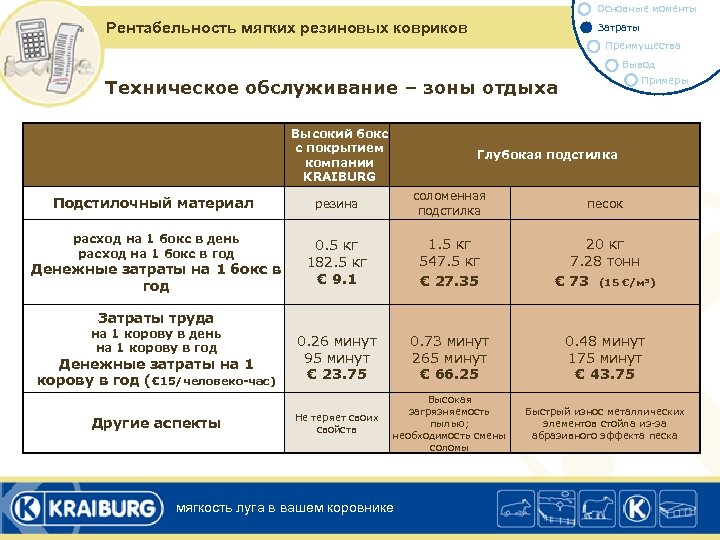 Основные моменты Рентабельность мягких резиновых ковриков Затраты Преимущества Вывод Примеры Техническое обслуживание – зоны