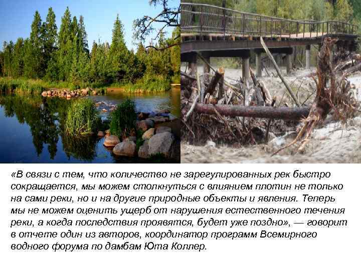  «В связи с тем, что количество не зарегулированных рек быстро сокращается, мы можем