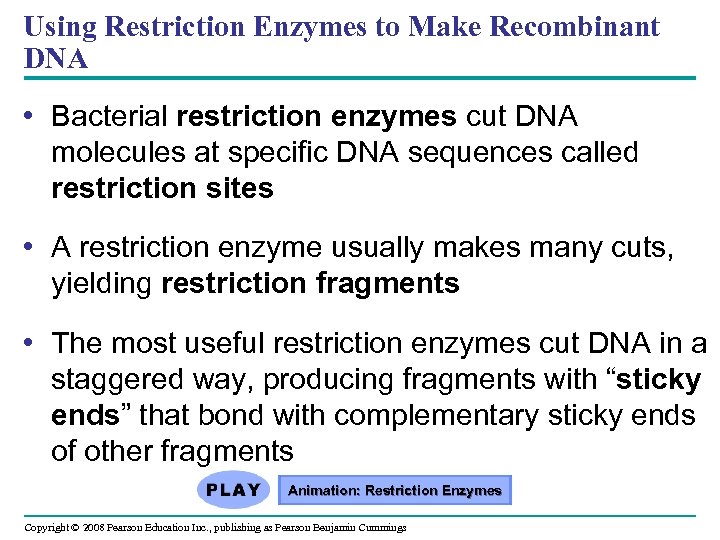 Using Restriction Enzymes to Make Recombinant DNA • Bacterial restriction enzymes cut DNA molecules